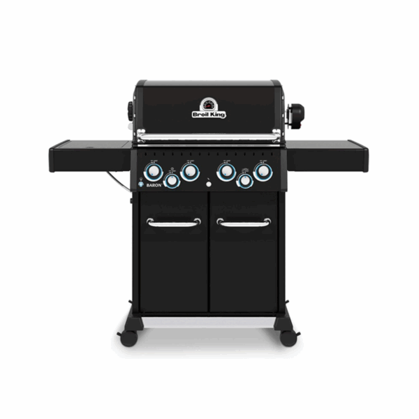 BARON 490 SHADOW
