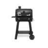 Broil King regal grill 400
