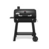 Broil King regal grill 500
