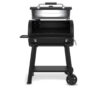 Broil King regal grill 500